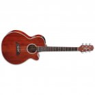 Takamine EF261S-AN Gloss Antique Stain Guitar + Case B-Stock