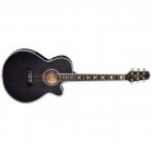 Takamine TSP158C SBL See Thru Black Gloss Thinline Guitar BStock Takamine TSP158C SBL See Thru Black Gloss Thinline Guitar BStock