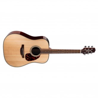 Takamine FT340 BS AE Dreadnought Guitar Gloss Natural + Case