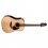Takamine FT340 BS AE Dreadnought Guitar Gloss Natural + Case