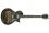ESP Will Adler Distressed Warbird Black Signature Guitar