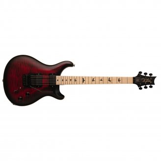 PRS DW CE 24 Floyd Guitar Dustie Waring Burst + PRS Bag NEW