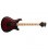 PRS DW CE 24 Floyd Guitar Dustie Waring Burst + PRS Bag NEW