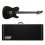 ESP LTD AA-1 Alan Ashby Black Satin Guitar + Case New