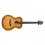 PRS SE T50E Acoustic Guitar Vintage Sunburst + PRS Case T50 VS