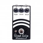 EarthQuaker Devices Ghost Echo V3 Vintage Voiced Reverb Pedal