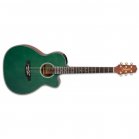 Takamine LTD2025 AE Guitar Gloss Antique Evergreen + Case NEW Takamine LTD2025 AE Guitar Gloss Antique Evergreen + Case NEW