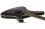 Schecter Avenger Blackjack Gloss Black Electric Guitar