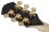 Wylde Audio Goregehn Special Edition Blood River Burl BRAND NEW