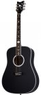 Schecter Robert Smith RS-1000 Acoustic Gloss Black BLK