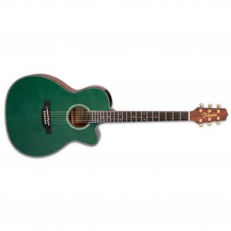 Takamine LTD2025 AE Guitar Gloss Antique Evergreen + Case NEW