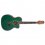 Takamine LTD2025 AE Guitar Gloss Antique Evergreen + Case NEW