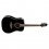 Takamine FT341 Acoustic-Electric Guitar Gloss Black + Case