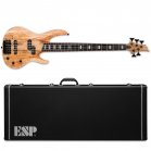 ESP LTD RB-1005SM Natural Satin 5-String Electric Bass + Case