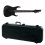 Ibanez RGRB720 Iron Label 7-String Black Flat Guitar + Case New