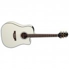 Takamine GD37CE PW Pearl White Acoustic Guitar GD37CEPW NEW